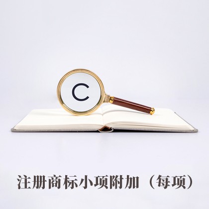 北京注册商标小项附加（每项）